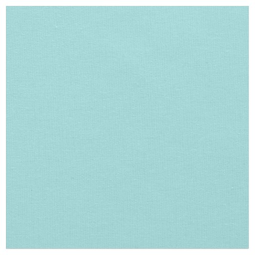 Limpet Shell Blue Color Background Robin Egg Blue Fabric