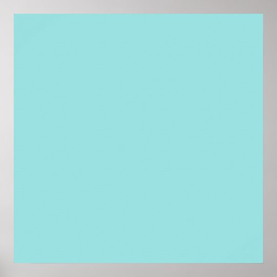 Limpet Shell Blue Color Background Robin Egg Poster Zazzle
