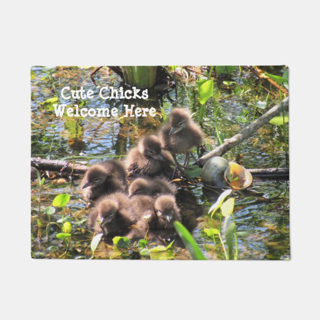 Limpkin Chicks (Wading Bird) -  Welcome  Doormat (Front)