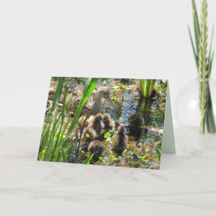 Limpkin Family - Mom and Chicks - Mother's Day Card