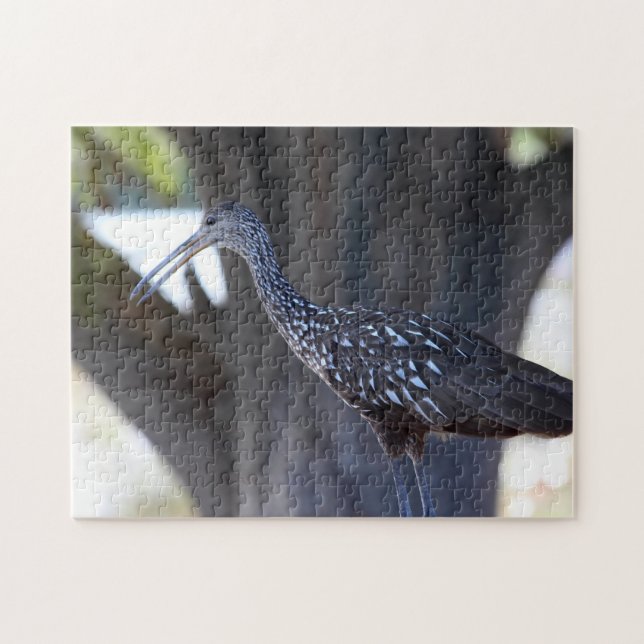 Limpkin Jigsaw Puzzle (Horizontal)