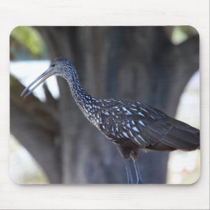 Limpkin Mouse Pad