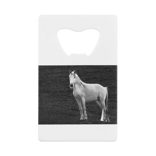 LIN10BW The Stance.tif Credit Card Bottle Opener (Front)