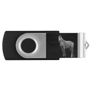 LIN10BW The Stance.tif Flash Drive