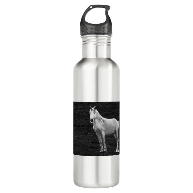 LIN10BW The Stance.tif Stainless Steel Water Bottle (Front)