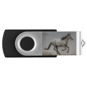 LIN16 Against the Wind.tif Flash Drive