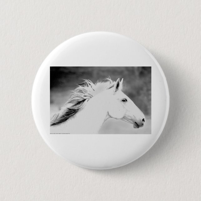 LIN26BW Mane in the Wind.tif Button (Front)