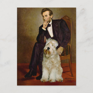 Lincoln - Wheaten Terrier 7 Postcard