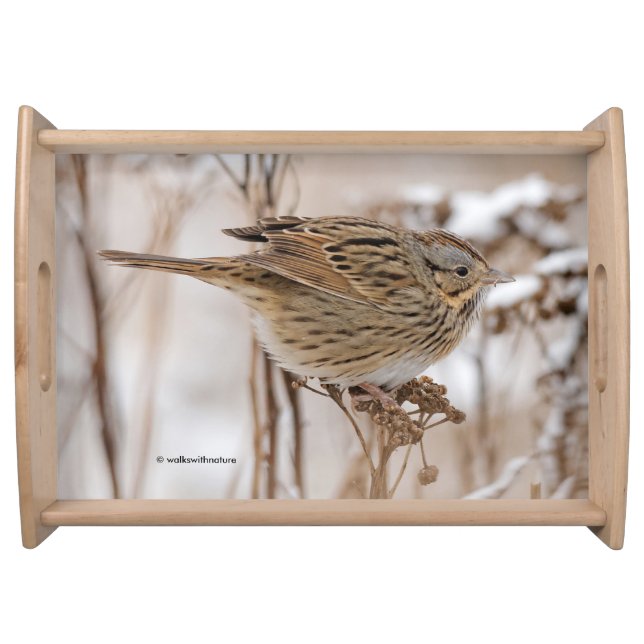 Lincoln's Sparrow on Tansy Serving Tray (Front)