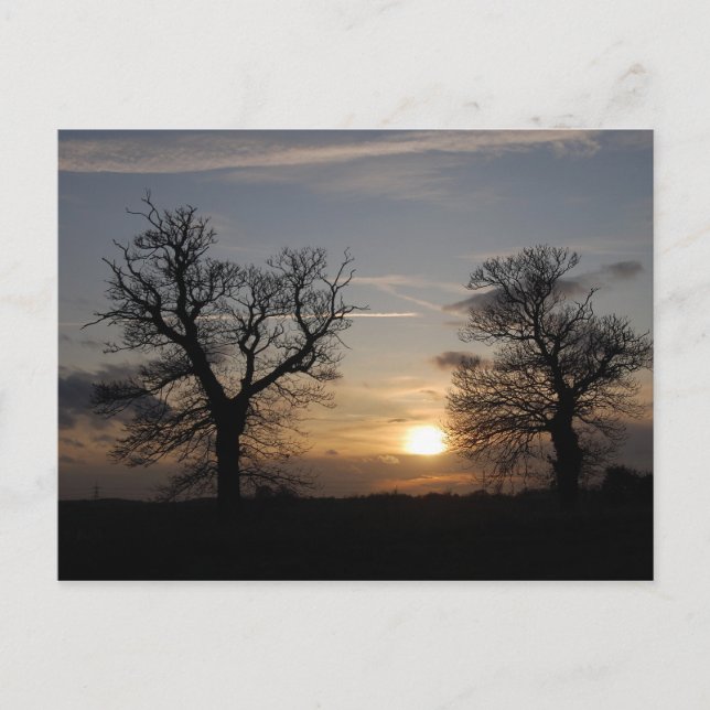 Lincolnshire Sunset Postcard (Front)