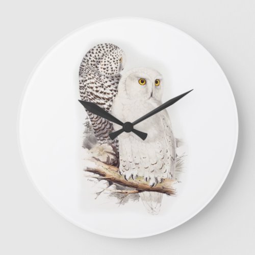 Lindas corujas brancas na neve snowy owls large clock