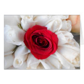 Lindegren (Front Horizontal)