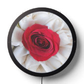 Lindegren LED Sign (Lights Off)