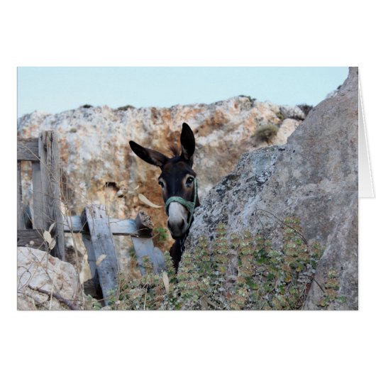 Lindos Donkey Cards (Front Horizontal)
