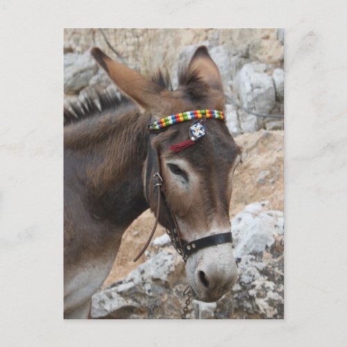 Lindos Donkey Postcard