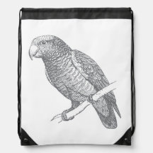 Line Art of Parrot (Gray) Fine Art
