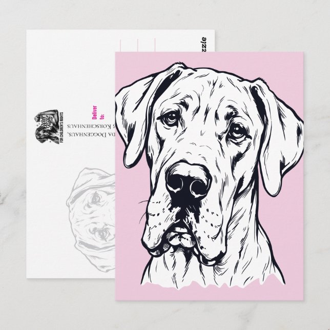 Line Drawing Great Dane Head Postcard (Front/Back)