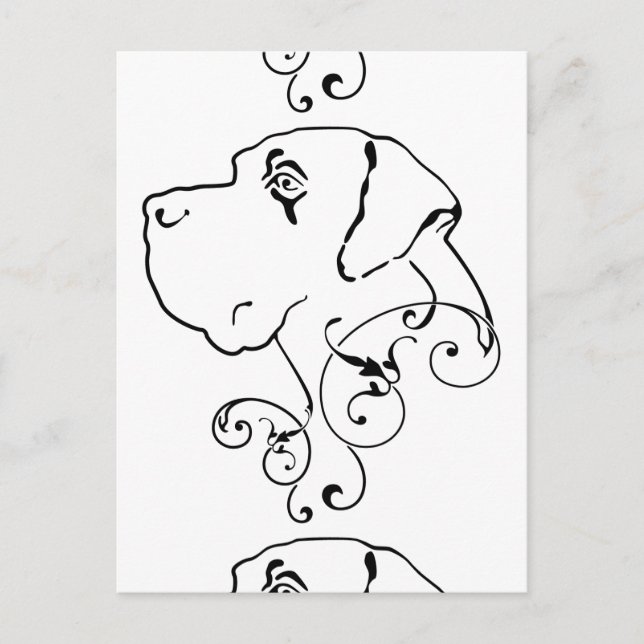 Line Drawing Great Dane Head Postcard (Front)