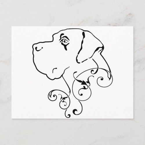 Line Drawing Great Dane Head Postcard