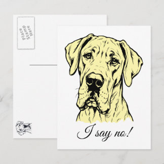 Line Drawing Great Dane Portrait Postcard