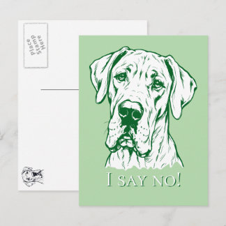 Line Drawing Great Dane Portrait Postcard