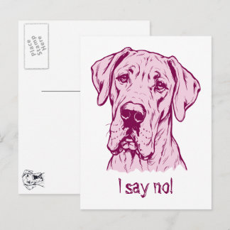 Line Drawing Great Dane Portrait Postcard