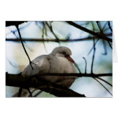 Line Master (Front Horizontal)