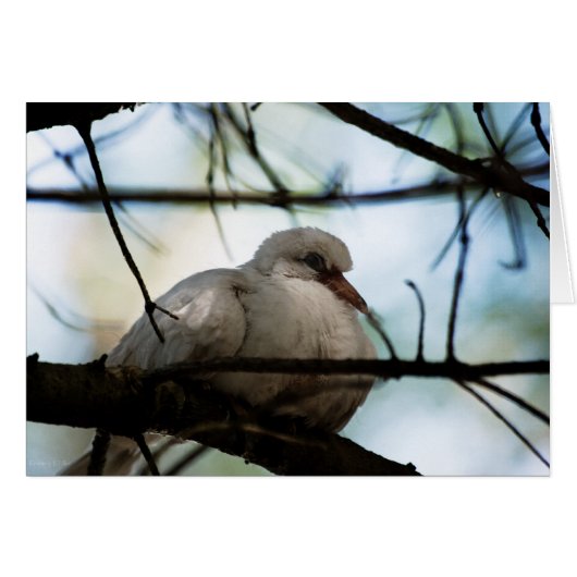 Line Master (Front Horizontal)