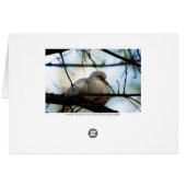 Line Master (Back Horizontal)