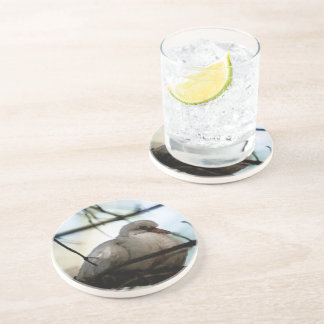Line Master Sandstone Coaster