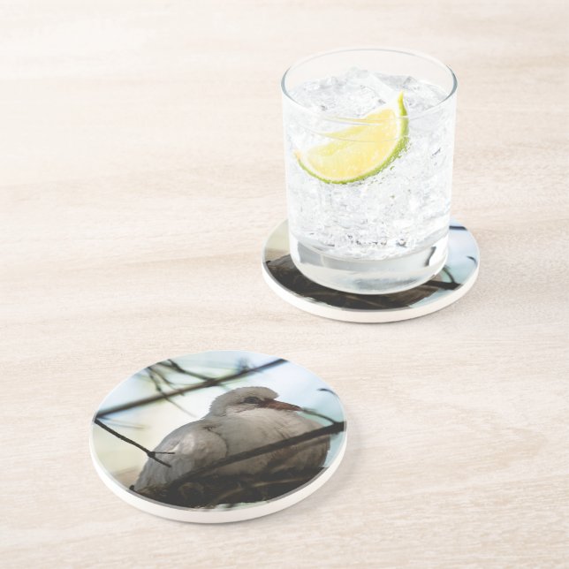Line Master Sandstone Coaster (Side)