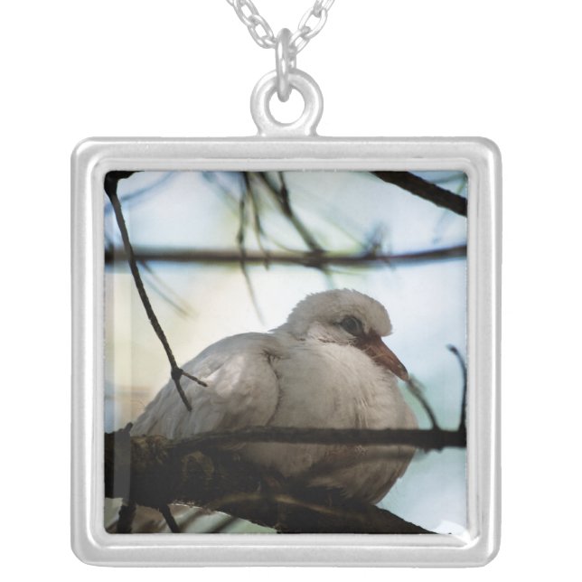 Line Master Silver Plated Necklace (Front)