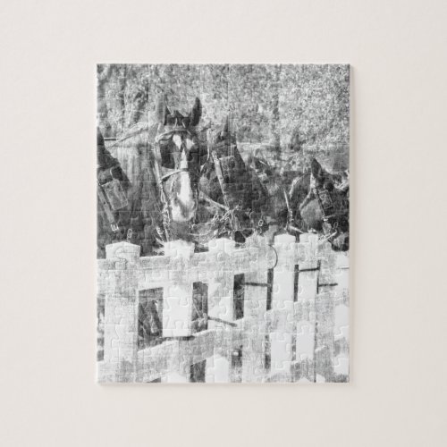 Line of Amish Horses Black and white Jigsaw Puzzle