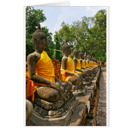 Line of Buddhas Cards (Front)