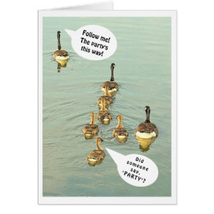 LINE OF GEESE/FOLLOW ME! THE PARTY'S THIS WAY! CARDS