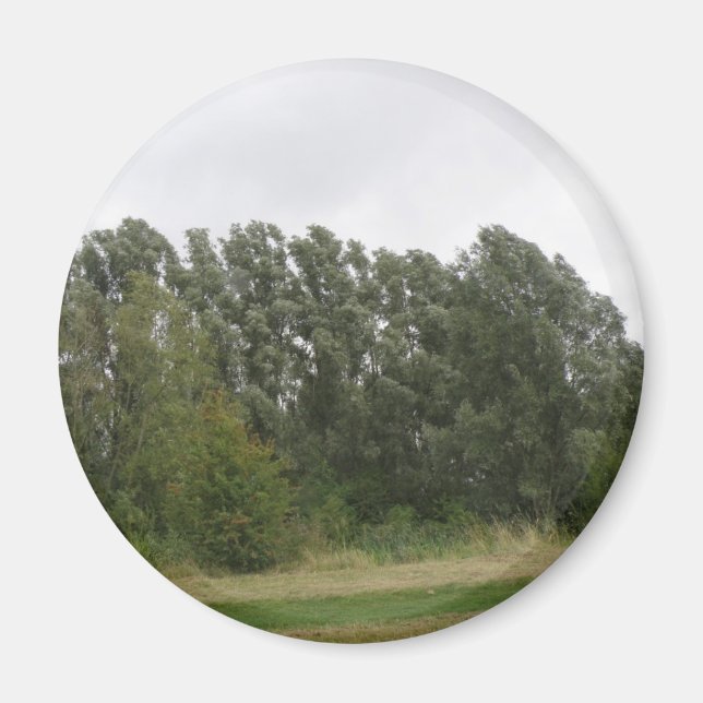 Line of Leaning Trees Landscape Magnet (Front)