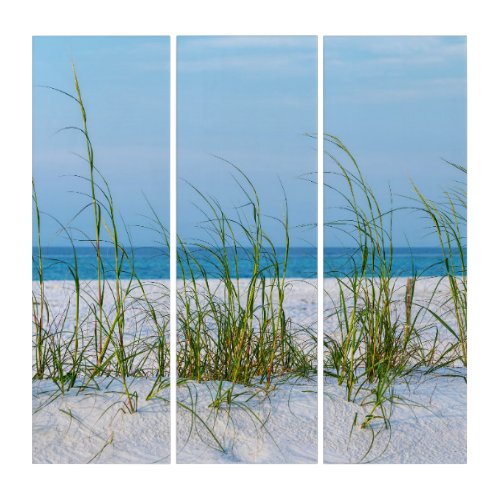 Line Of Sea Oats In White Sand Triptych