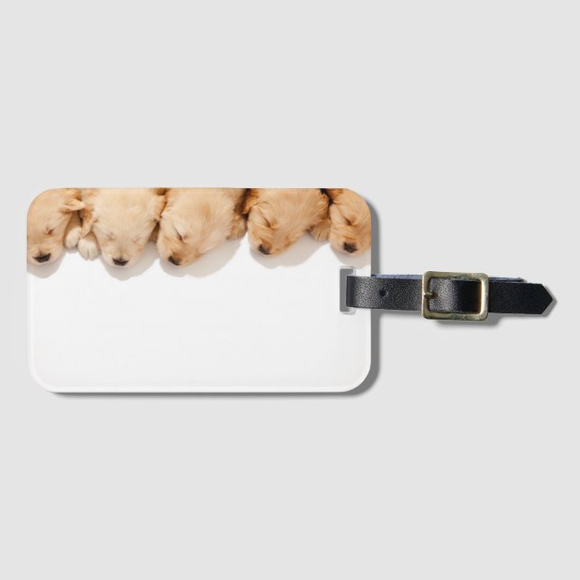 Line of Sleeping Golden Retriever Puppies Luggage Tag (Front Horizontal)