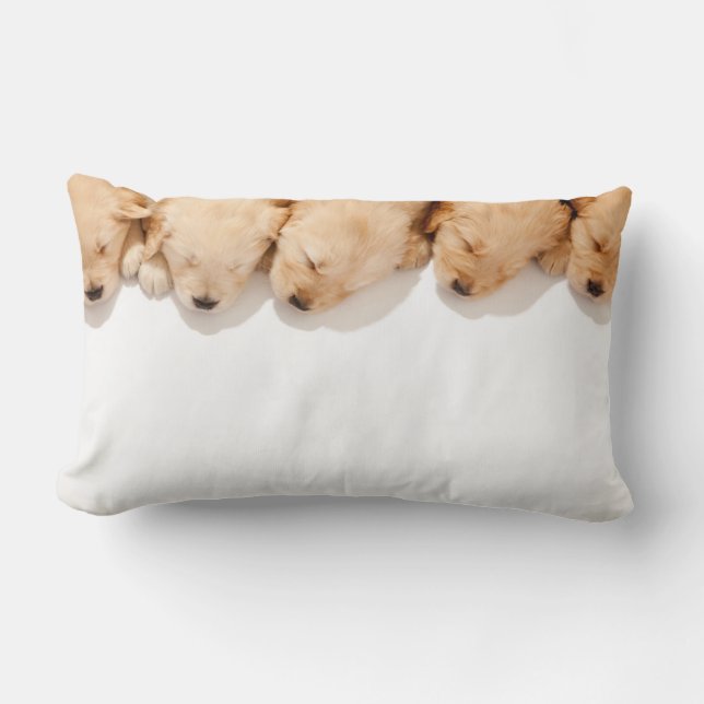 Line of Sleeping Golden Retriever Puppies Lumbar Pillow (Front)