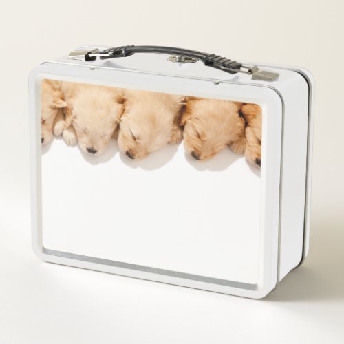 Line of Sleeping Golden Retriever Puppies Metal Lunch Box