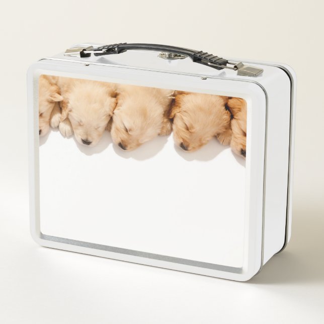 Line of Sleeping Golden Retriever Puppies Metal Lunch Box (Back)