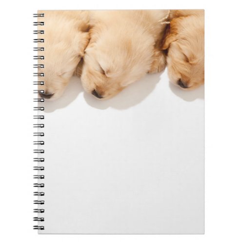 Line of Sleeping Golden Retriever Puppies Notebook