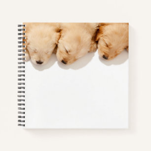 Line of Sleeping Golden Retriever Puppies Notebook