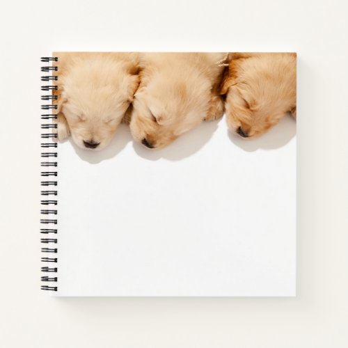 Line of Sleeping Golden Retriever Puppies Notebook