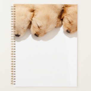 Line of Sleeping Golden Retriever Puppies Planner