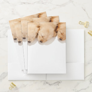 Line of Sleeping Golden Retriever Puppies Pocket Folder