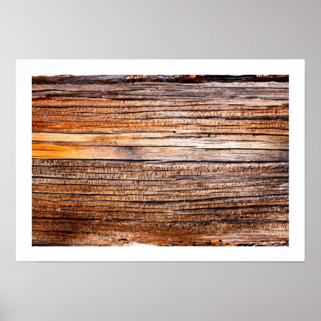 Linear World Poster (Front)