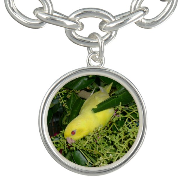 Lineolated Parakeet Charm Bracelet (Design)
