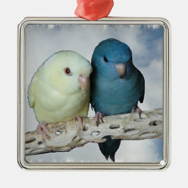 Lineolated parakeet pair metal ornament (Front)