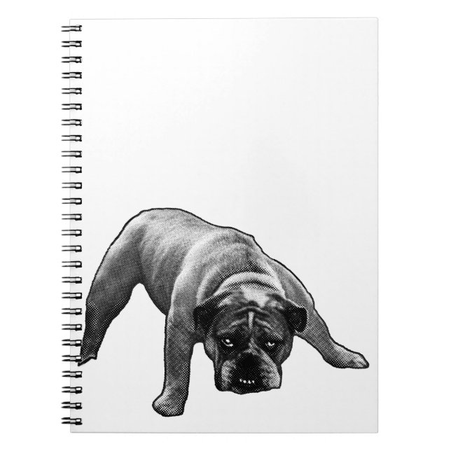 Lines, Lists, Bulldog Notebook (Front)